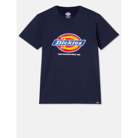 T-shirt DENISON homme (DT6010)