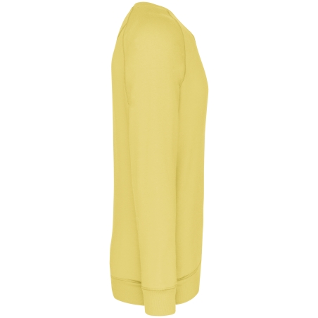 Sweat-shirt Bio col rond manches raglan homme