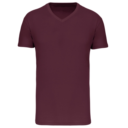 T-shirt Bio150IC col V homme